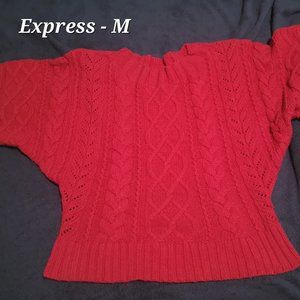 Express cable knit sweater